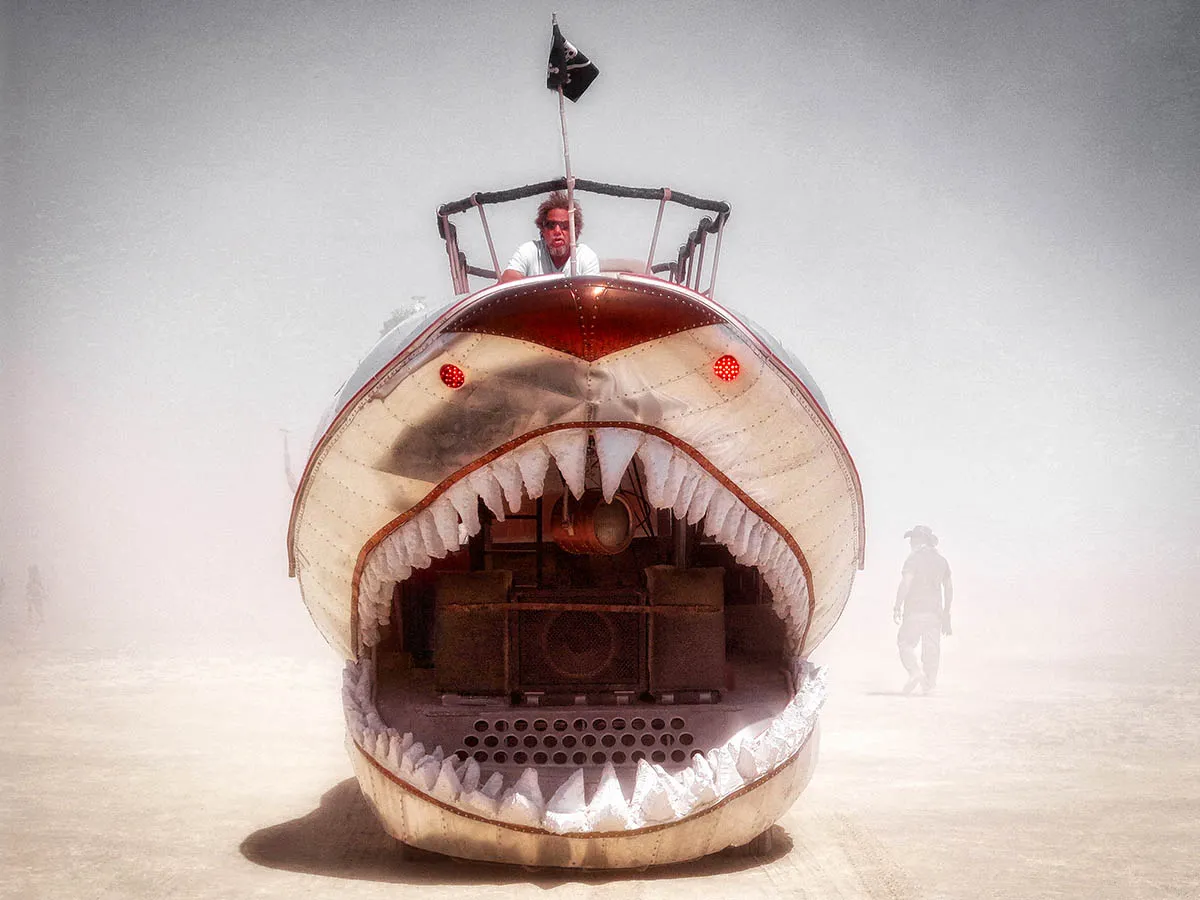 Burning Man photo 45