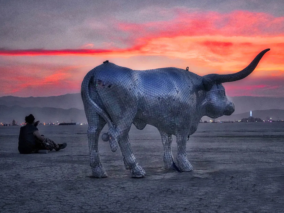 Burning Man photo 46