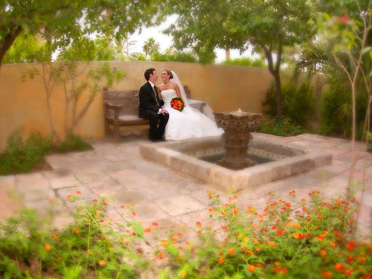 Weddings photo 20